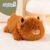 Highland Cattle
